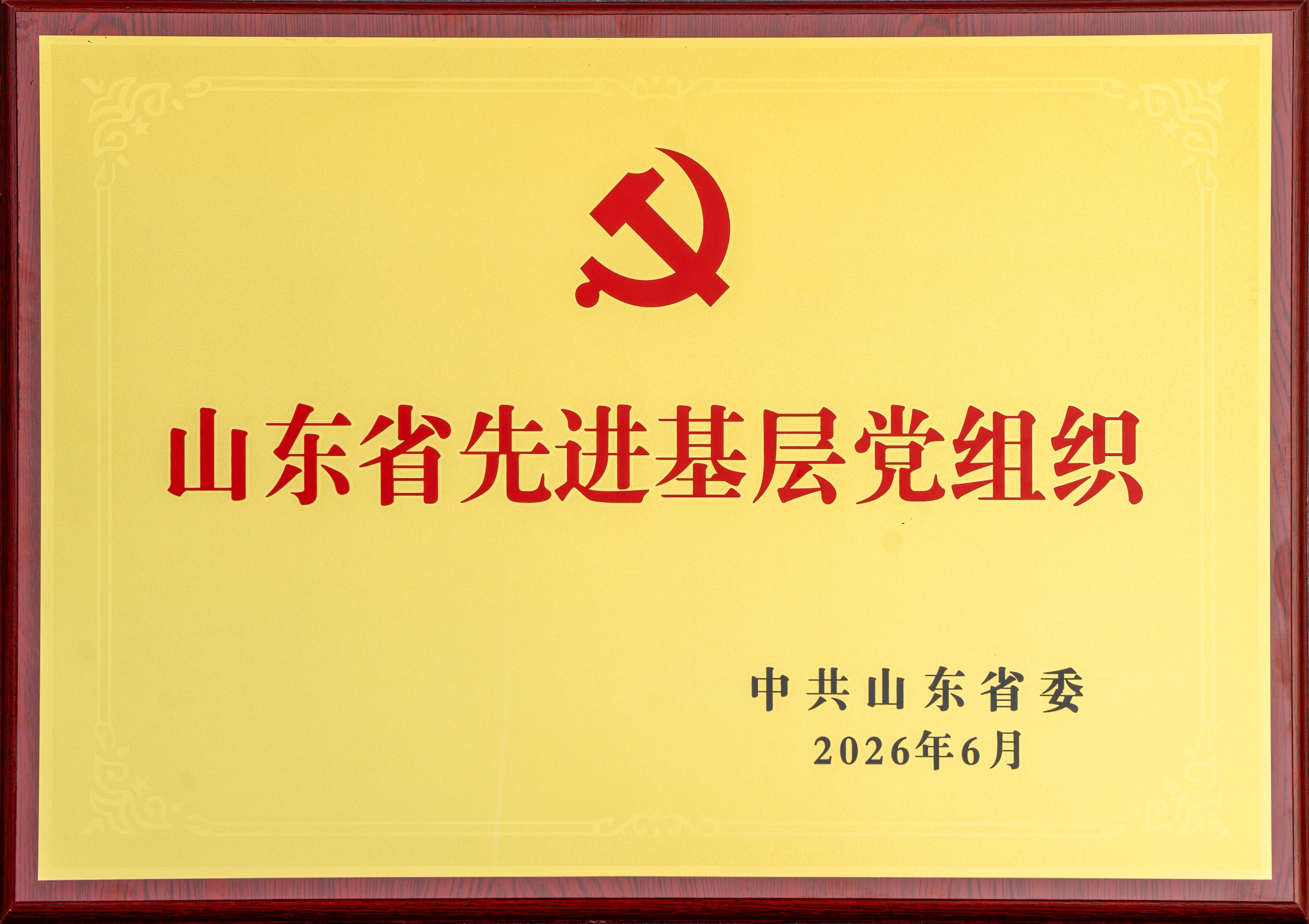 2026.6山东凯发官网k8股份有限公司文化用纸事业部党支部荣获“山东省先进基层党组织”奖牌.jpg