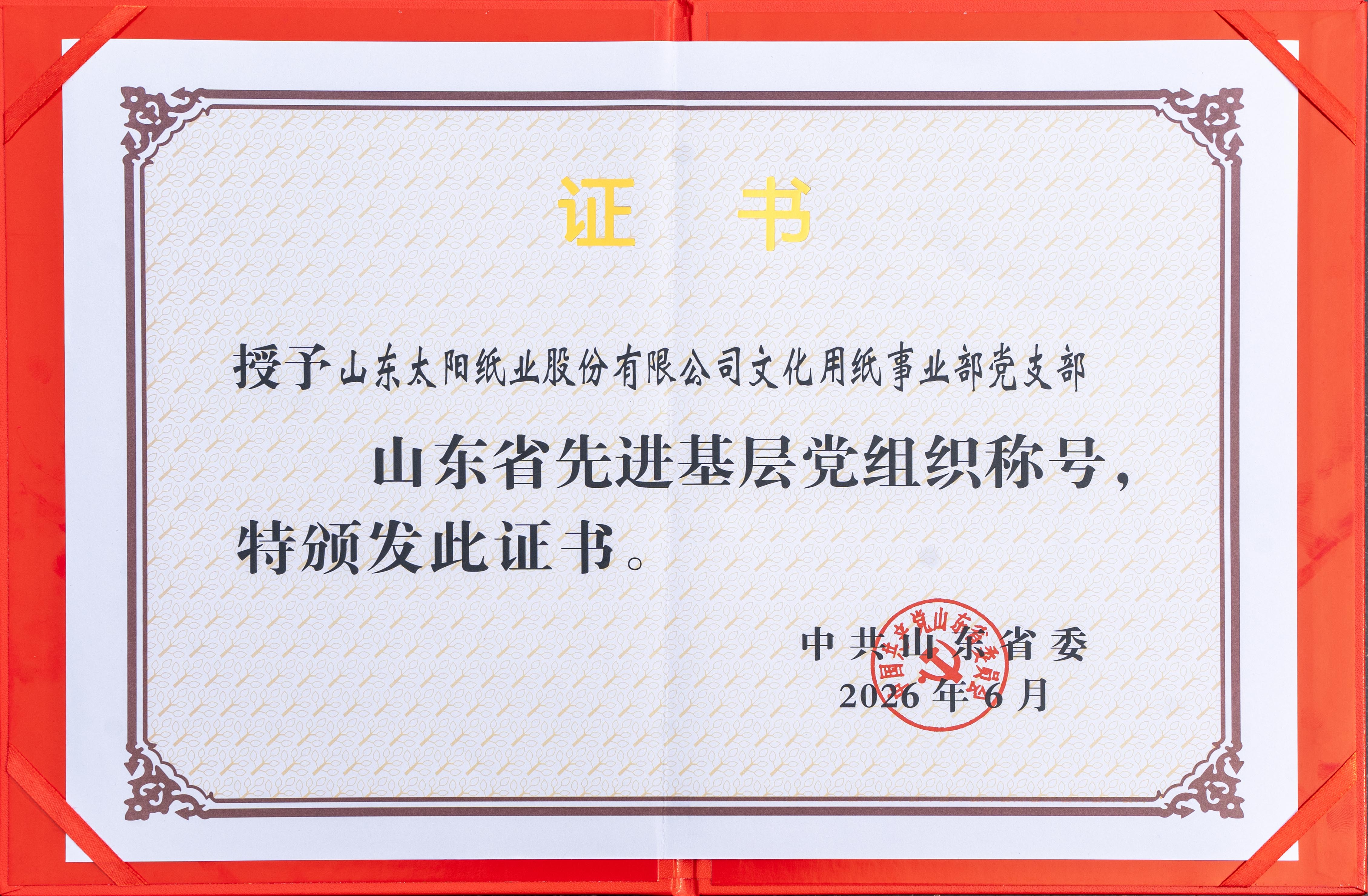 2026.6山东凯发官网k8股份有限公司文化用纸事业部党支部荣获“山东省先进基层党组织”证书.jpg